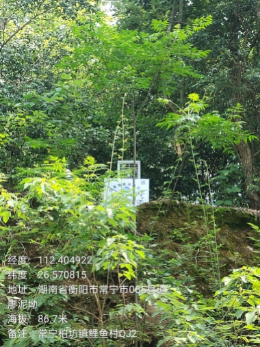 一体化倾角计