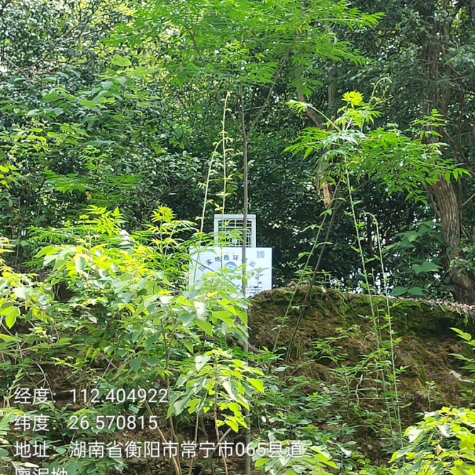 衡阳市2023年地质灾害普适型监测预警点建设政府采购项目