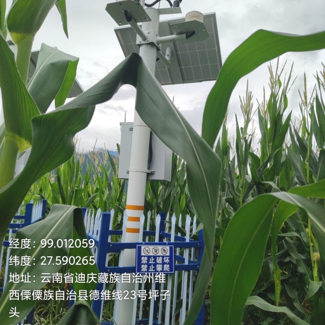 华能澜沧江公司TB水电站2024-2025年库区滑坡体安全监测设施建设与维护项目